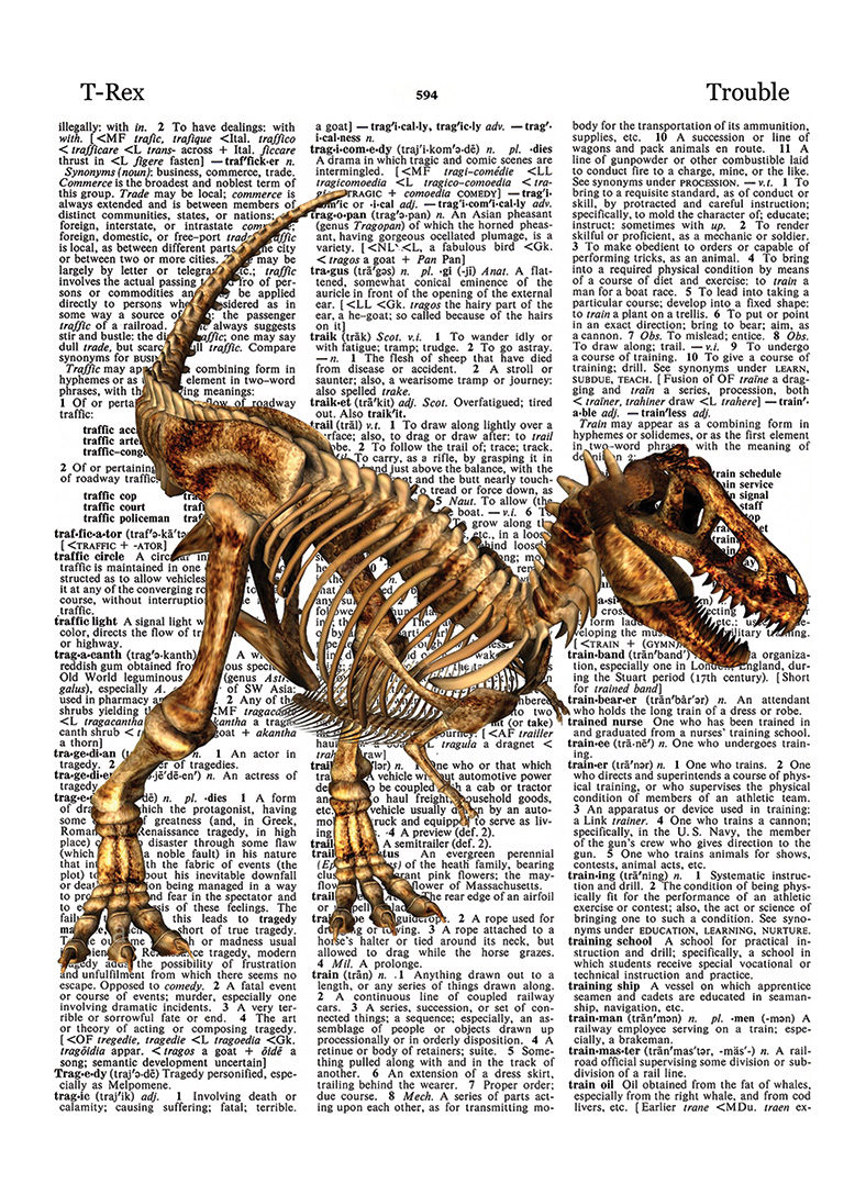 Dinosaur Bones Artwork Birthday Greeting Card